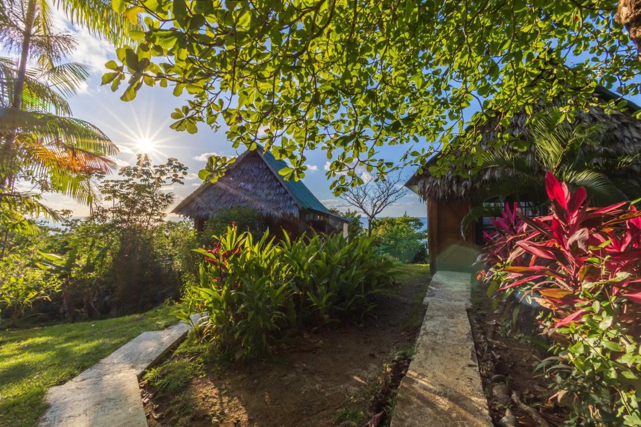 Punta Marenco Lodge Drakes Bay 외부 사진